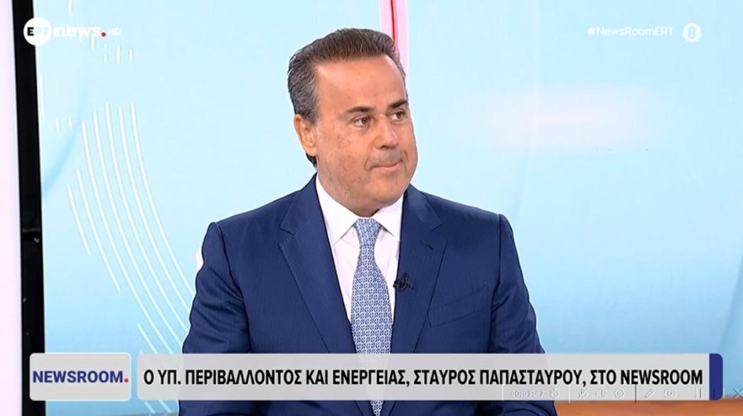 Υπουργός Ενέργειας, Σταύρος Παπασταύρου
