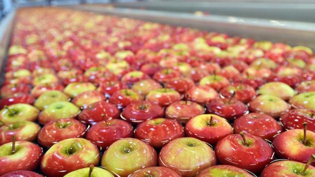 Κόκκινα μήλα νερό