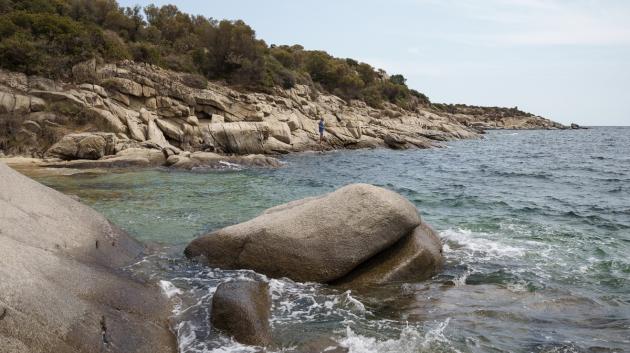 Ακτή με βράχους