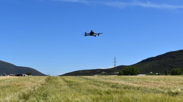 Drone σε αγρό