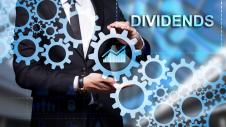 Merismata, Merisma, Dividends