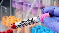 Koronoios, Corona Virus, Omikron