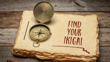 businessdaily-Ikigai