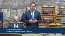 Σταύρος Παπασταύρου στη Βουλή