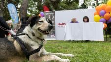 Mars Hellas