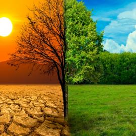 Κλιματική αλλαγή σύγκριση