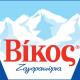 Λογότυπο Βίκος